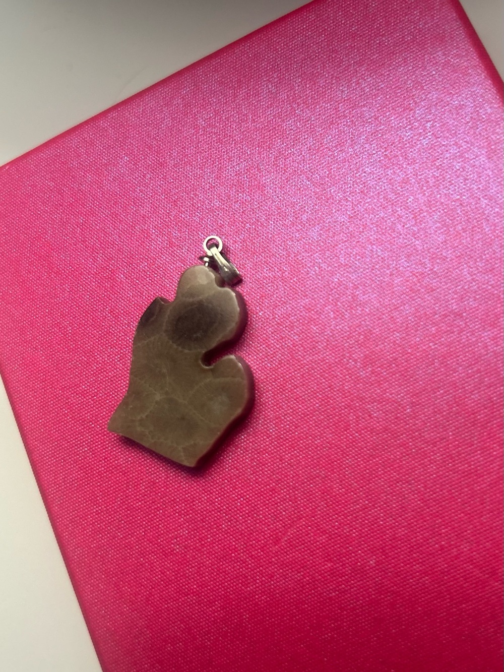Official Petosky Michigan stone pendant. No chain included.